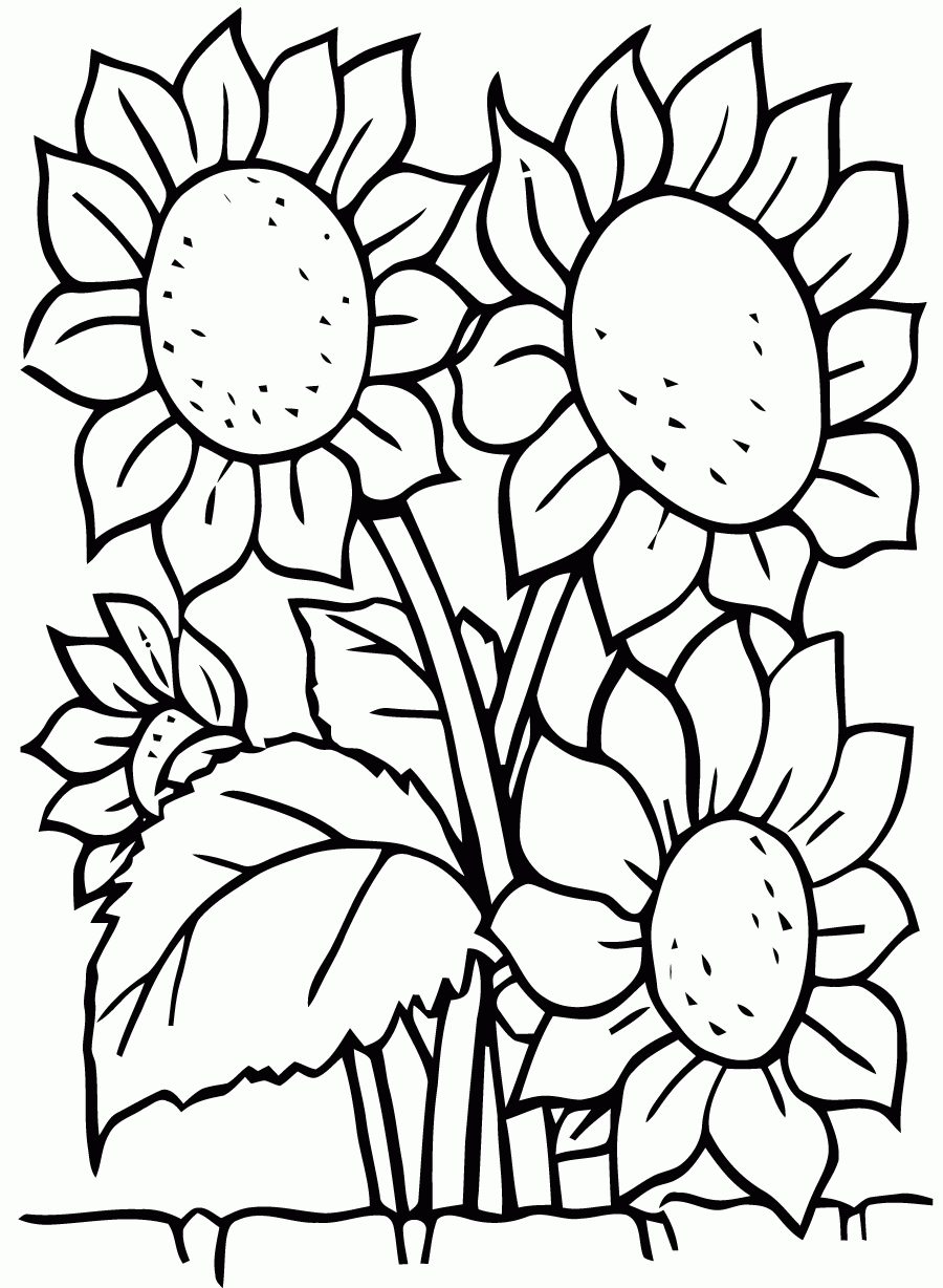 Free Flowers Coloring Download Flower Coloring Pages For Kids Free Flowers Coloring Download Flower Coloring Pages For Kids