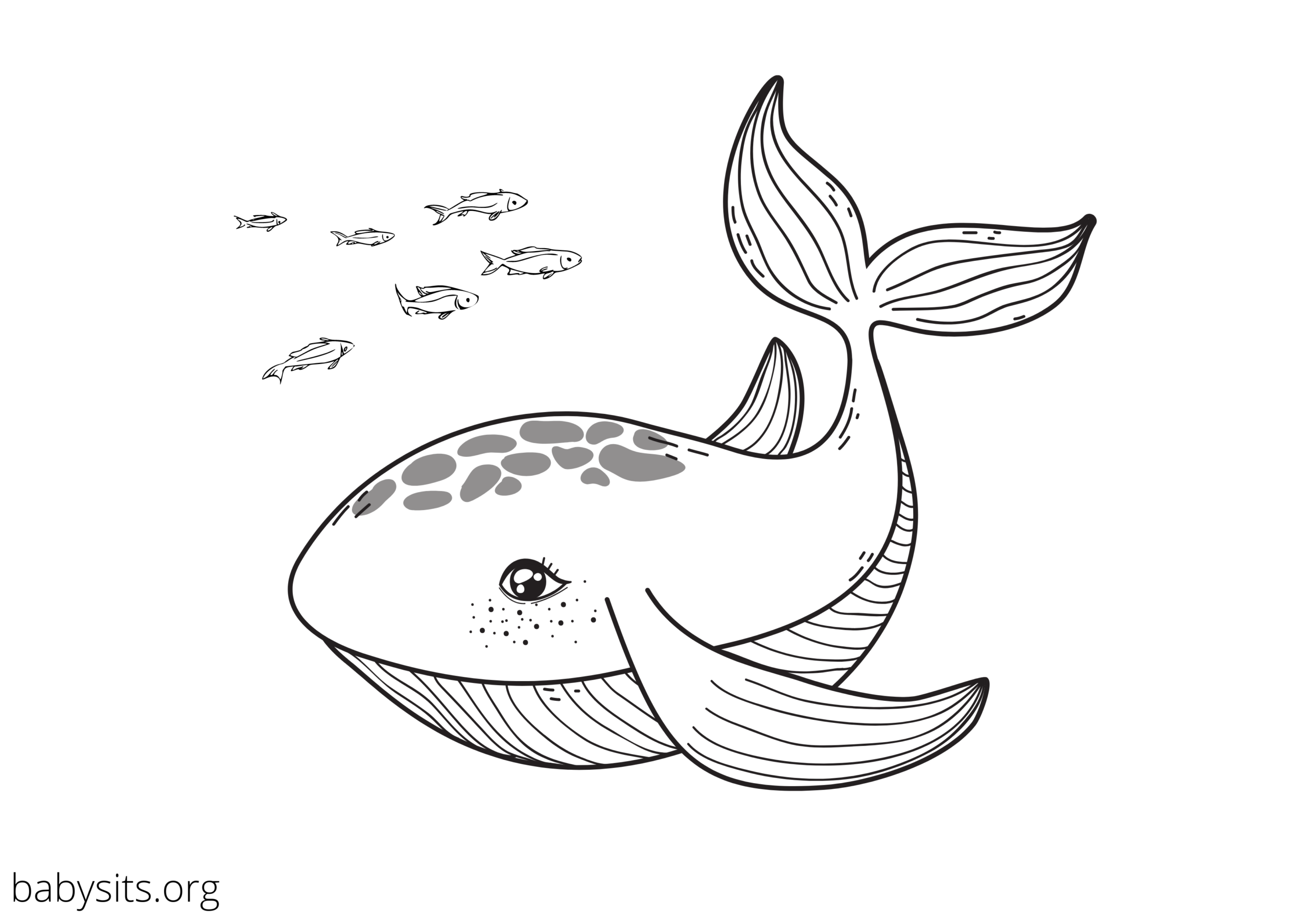 sea animals coloring pages sea animals coloring pages