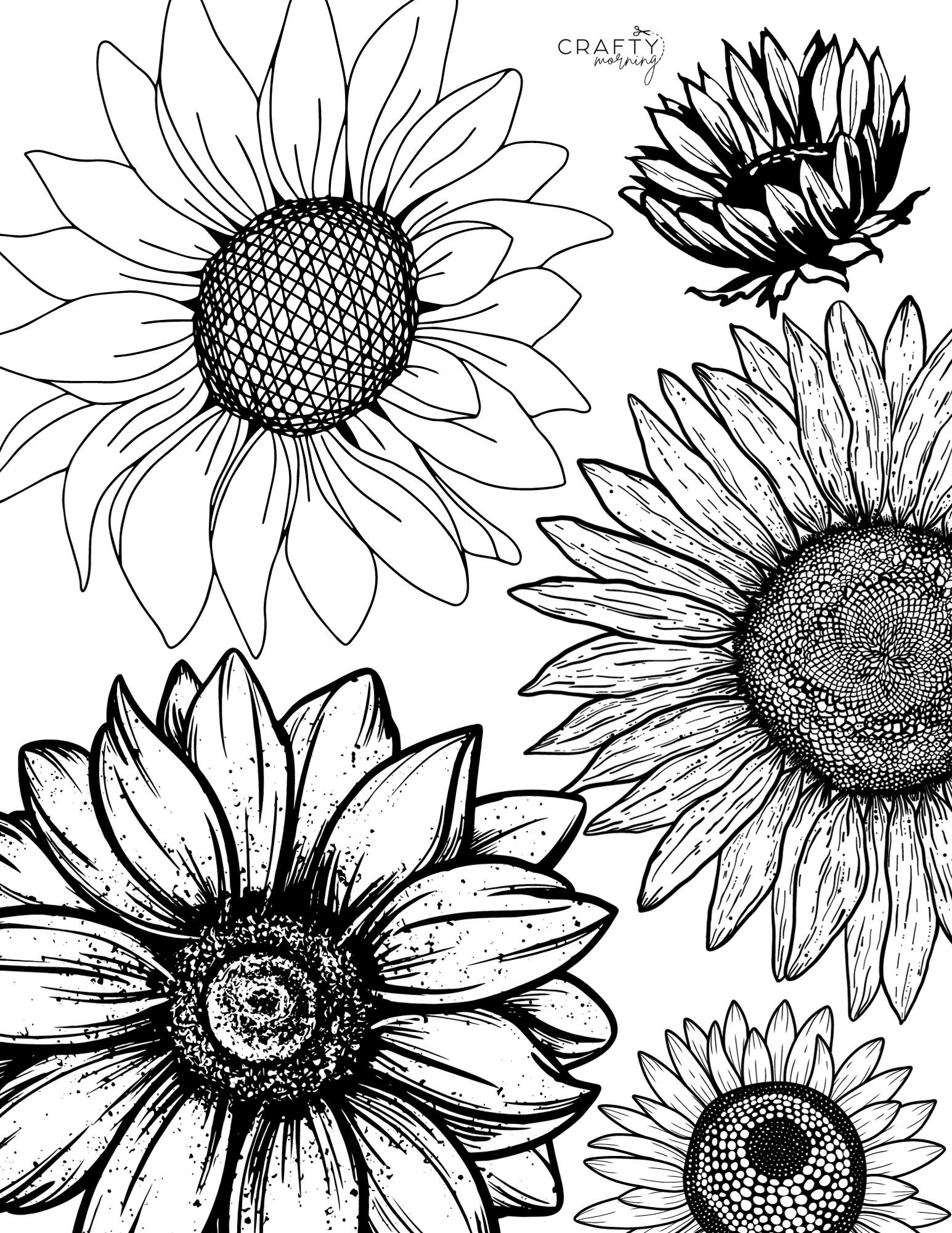 sunflower coloring pages sunflower coloring pages