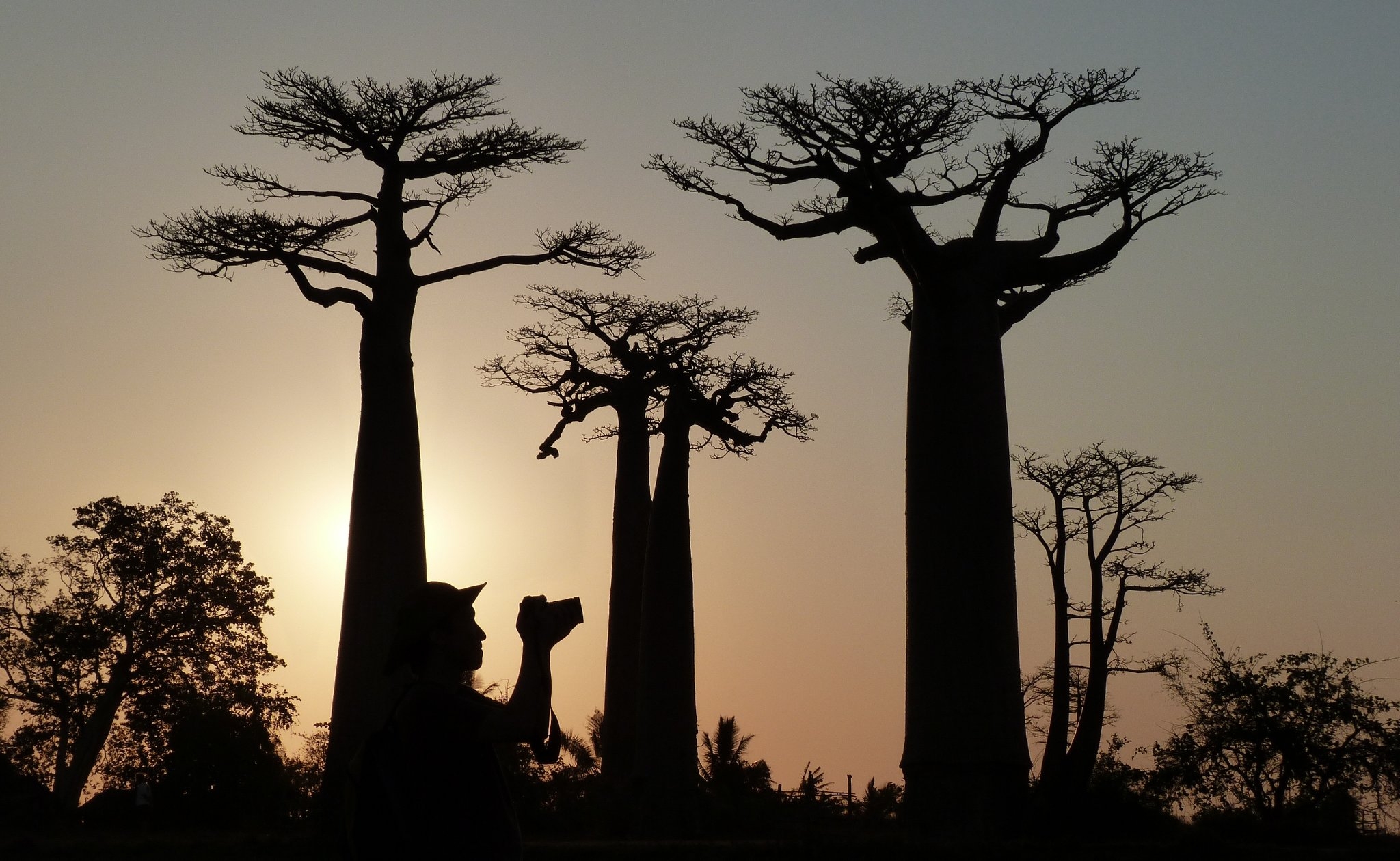 Full Of Twists The New York Times Full Of Twists The New York Times