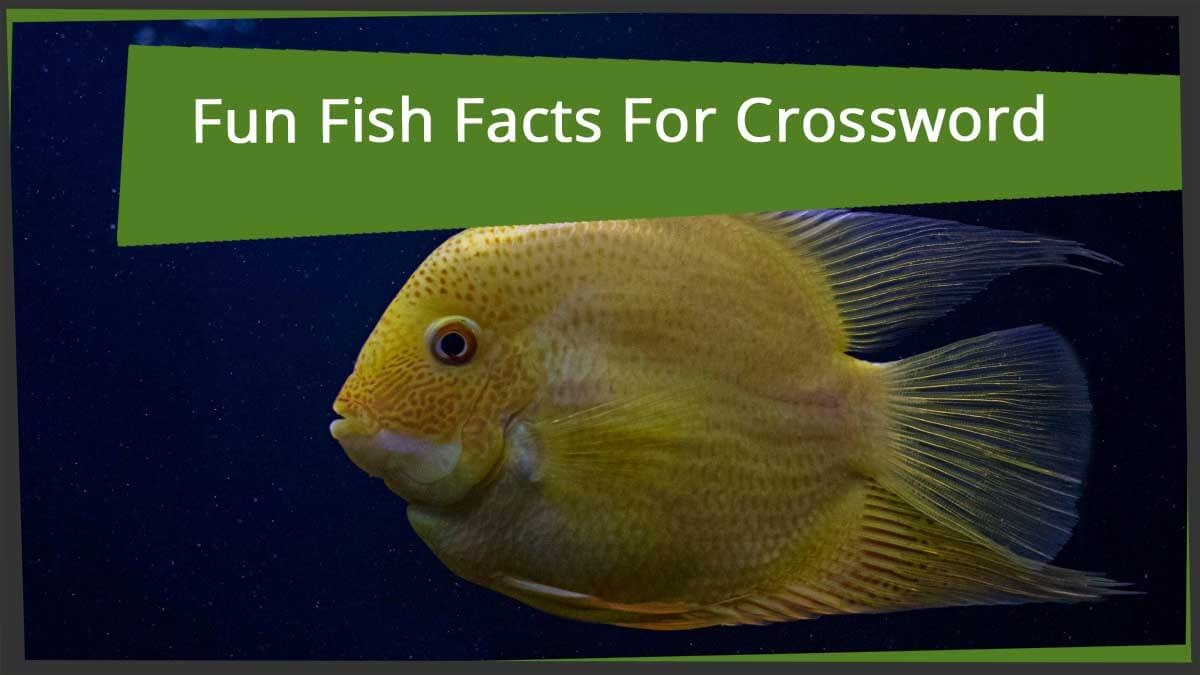 Fun Fish Facts For Crossword Puzzle Lovers Word grabber Fun Fish Facts For Crossword Puzzle Lovers Word grabber
