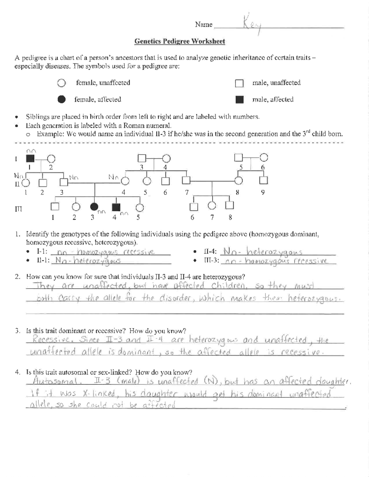 pedigree worksheet answers pedigree worksheet answers