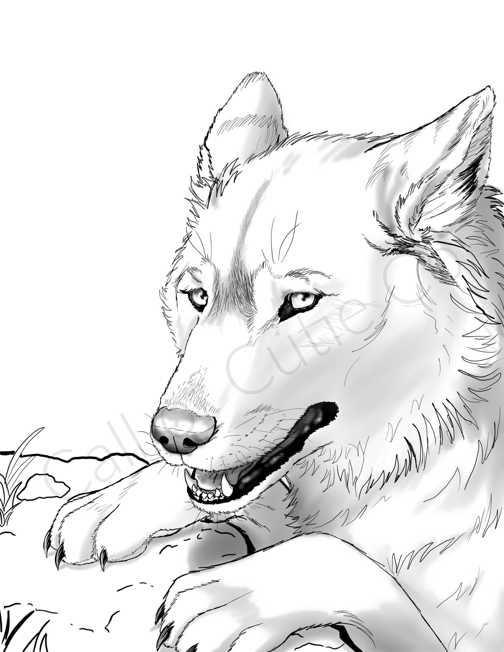 Gray Wolf Color Page digital Wolf Coloring Pages animal Coloring Pages Etsy Israel Gray Wolf Color Page digital Wolf Coloring Pages animal Coloring Pages Etsy Israel