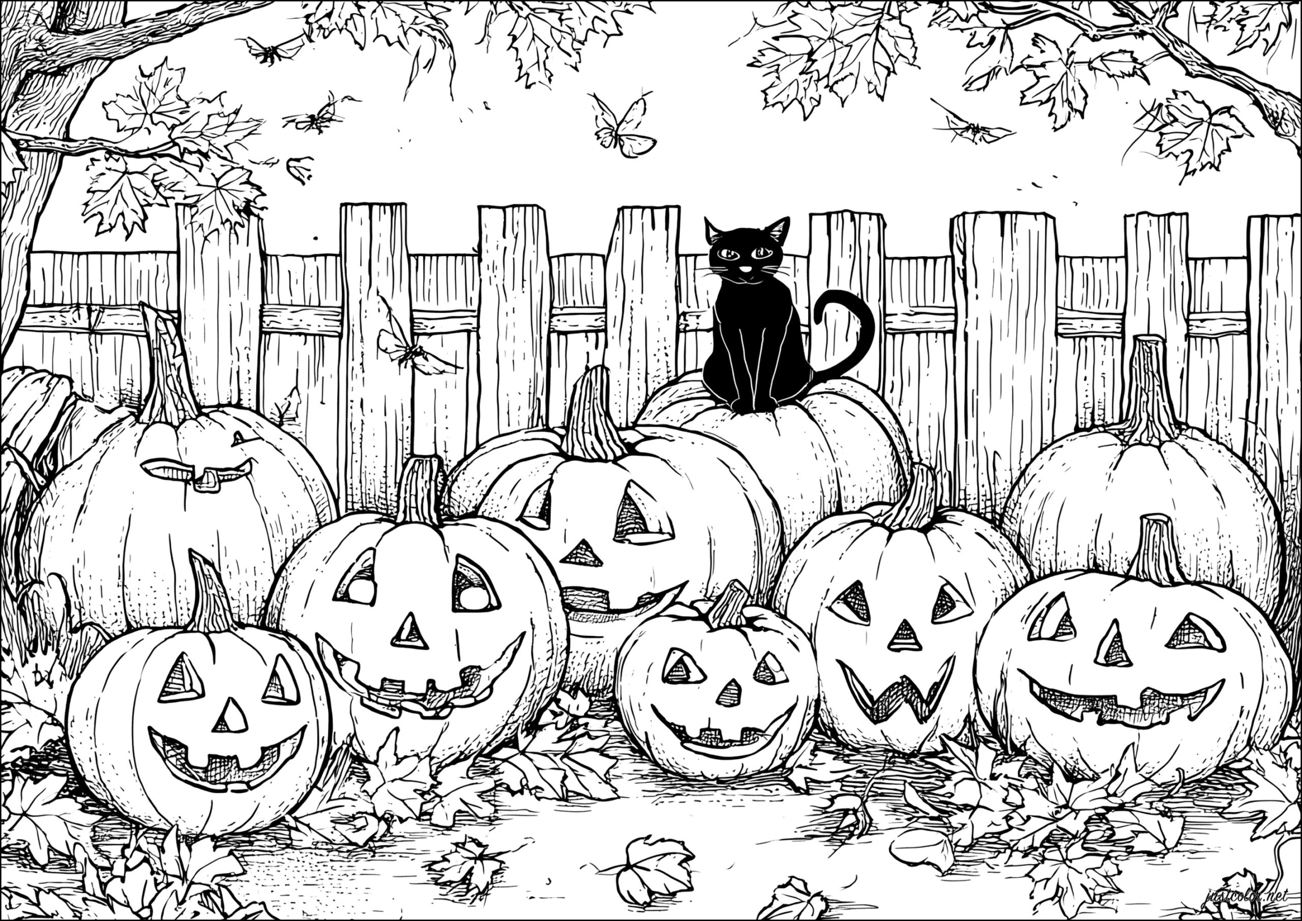 Halloween 81595 Halloween Coloring Pages For Adults