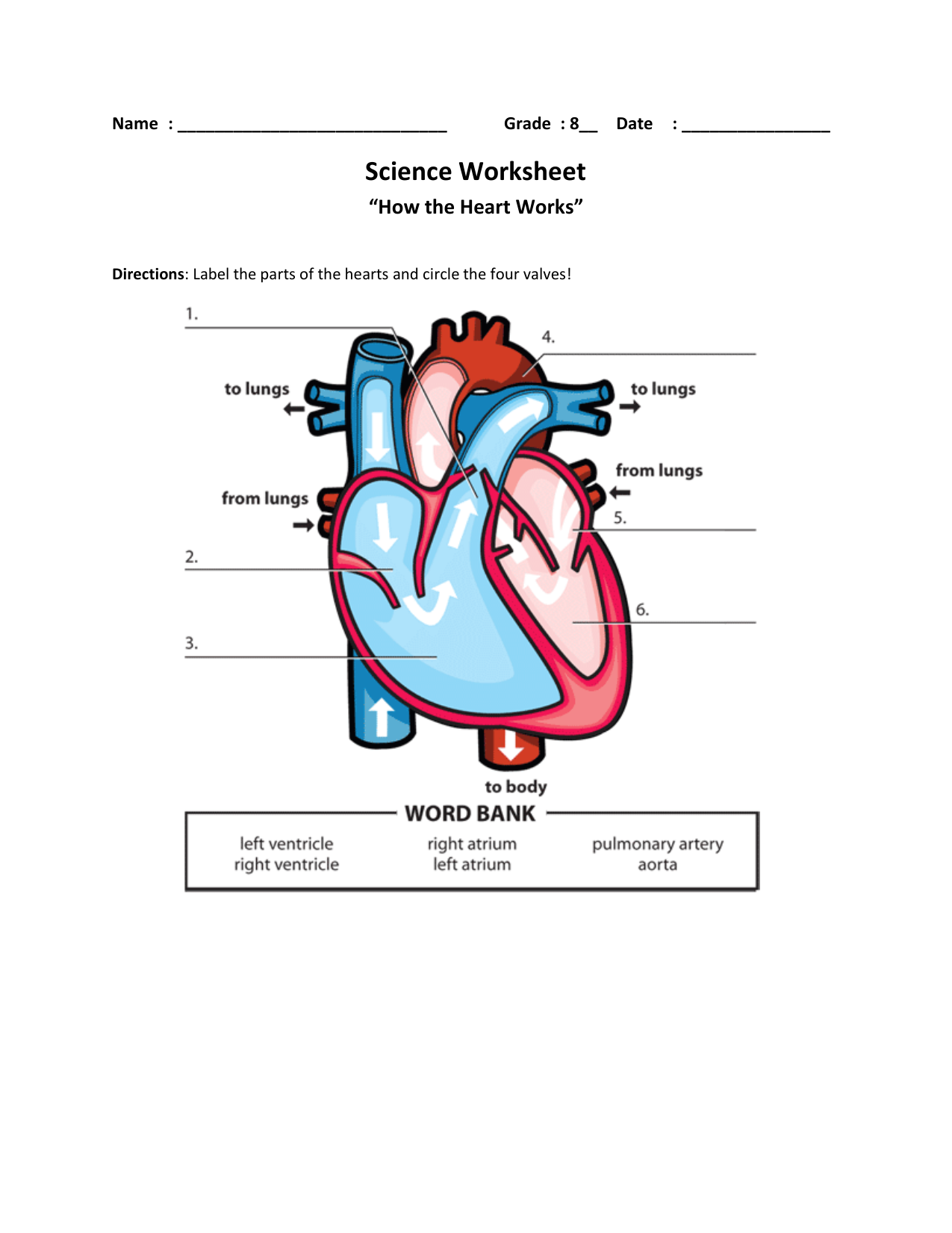 label the heart worksheet label the heart worksheet