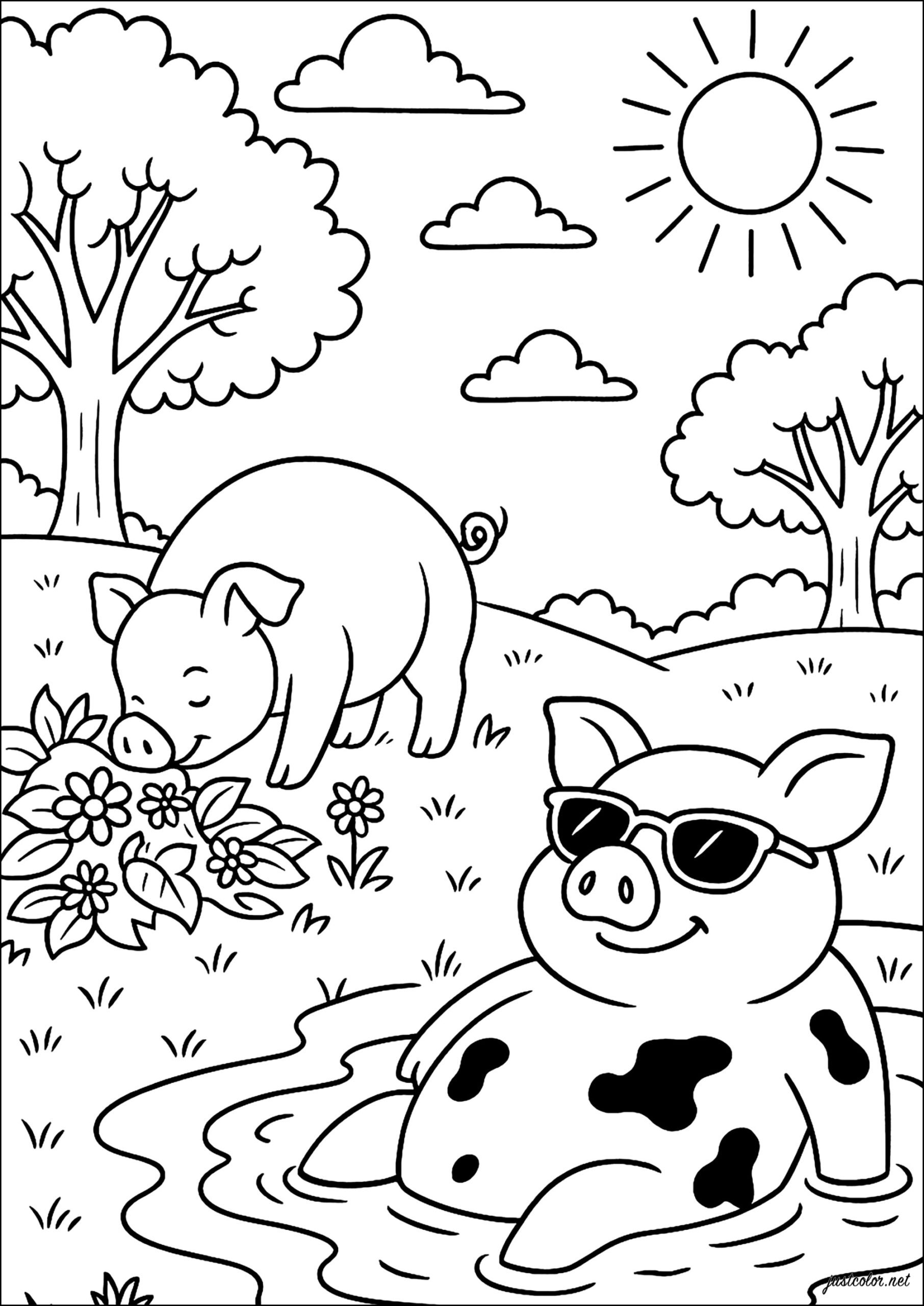 Hog Relaxation In The Sunshine Pig Coloring Pages Hog Relaxation In The Sunshine Pig Coloring Pages