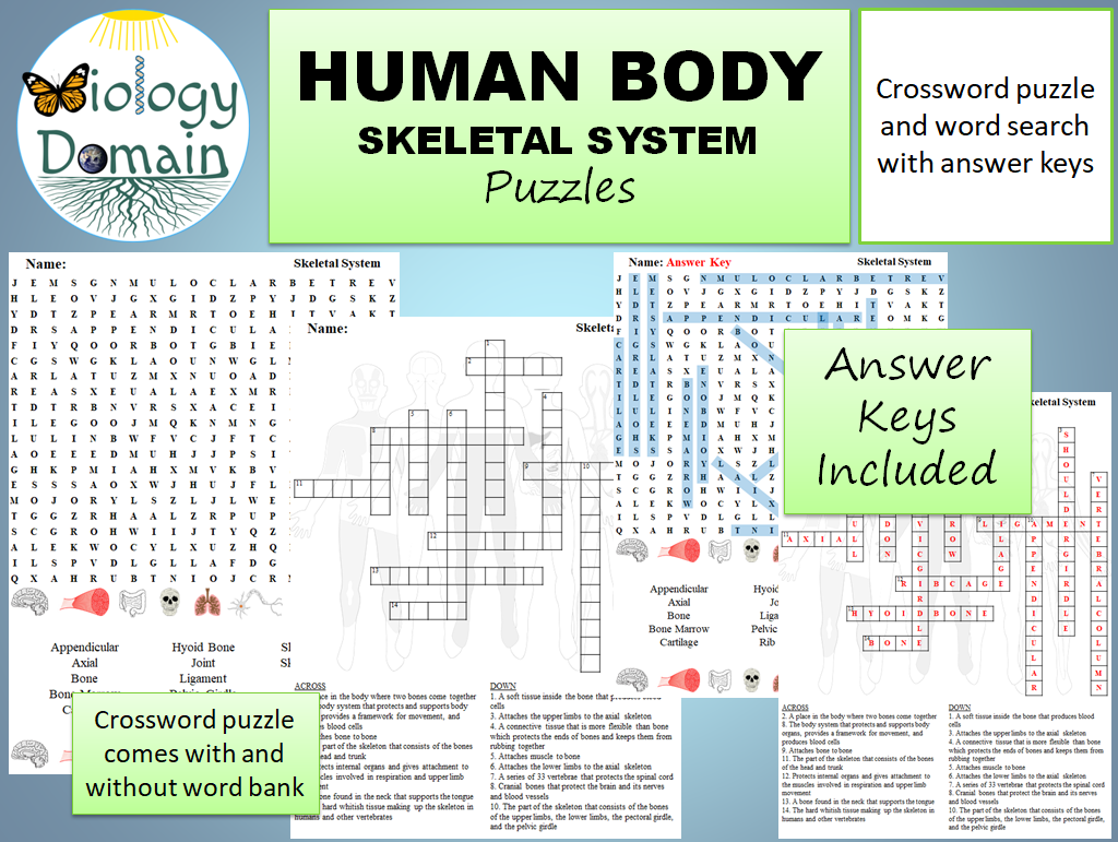 Human Body Skeletal System Crossword And Word Search Teaching Resources