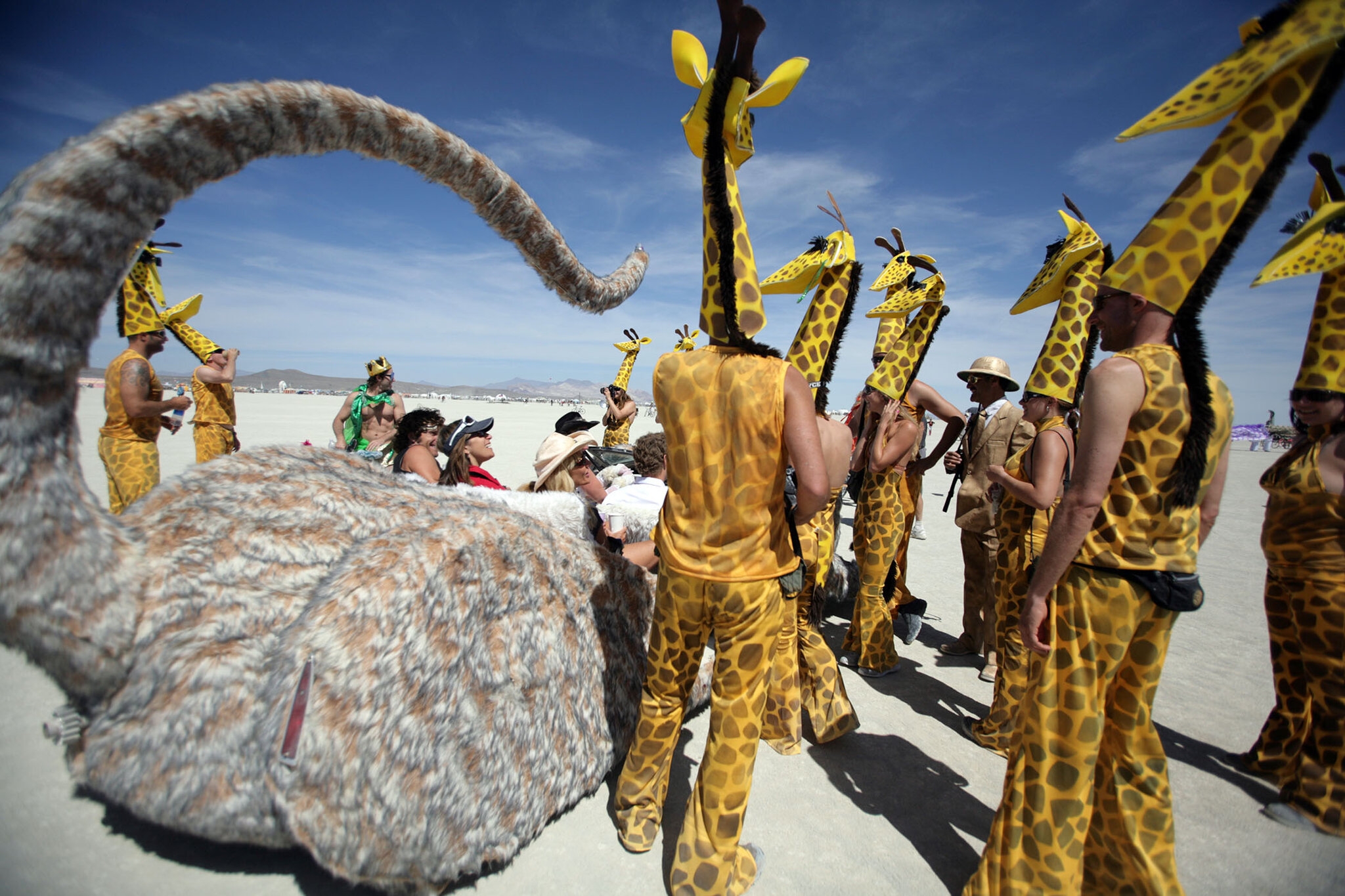 humdinger crossword clue humdinger crossword clue