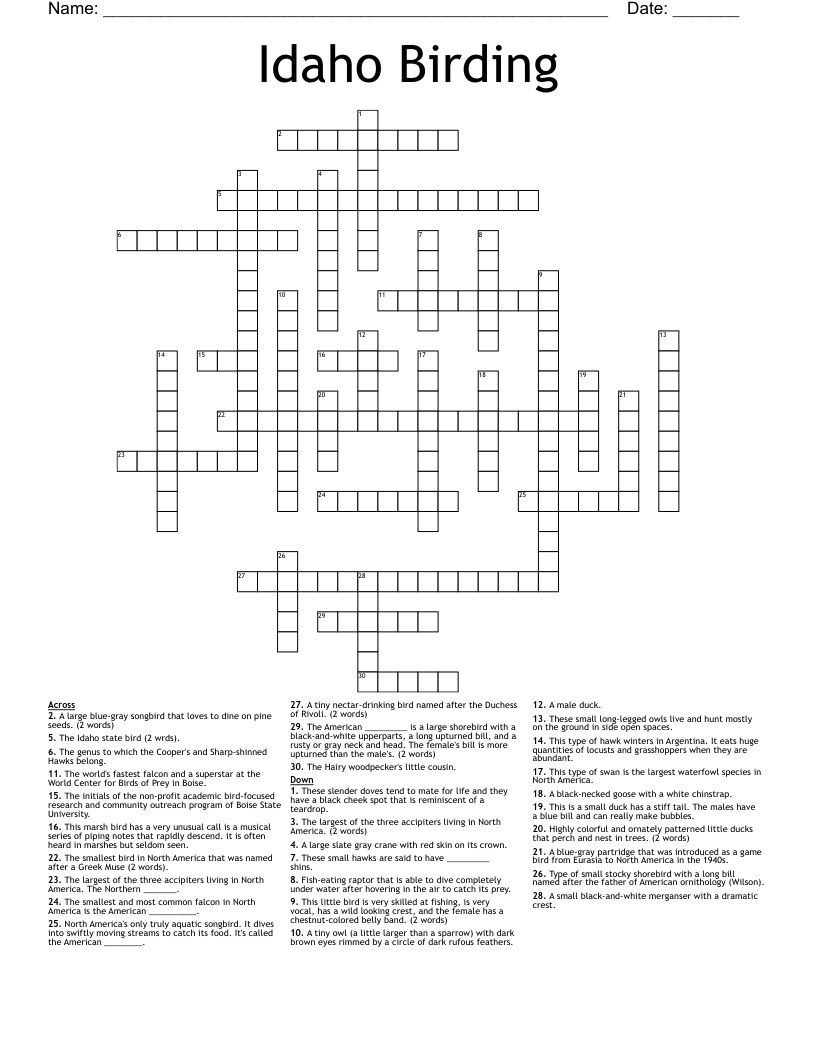 marsh bird crossword marsh bird crossword