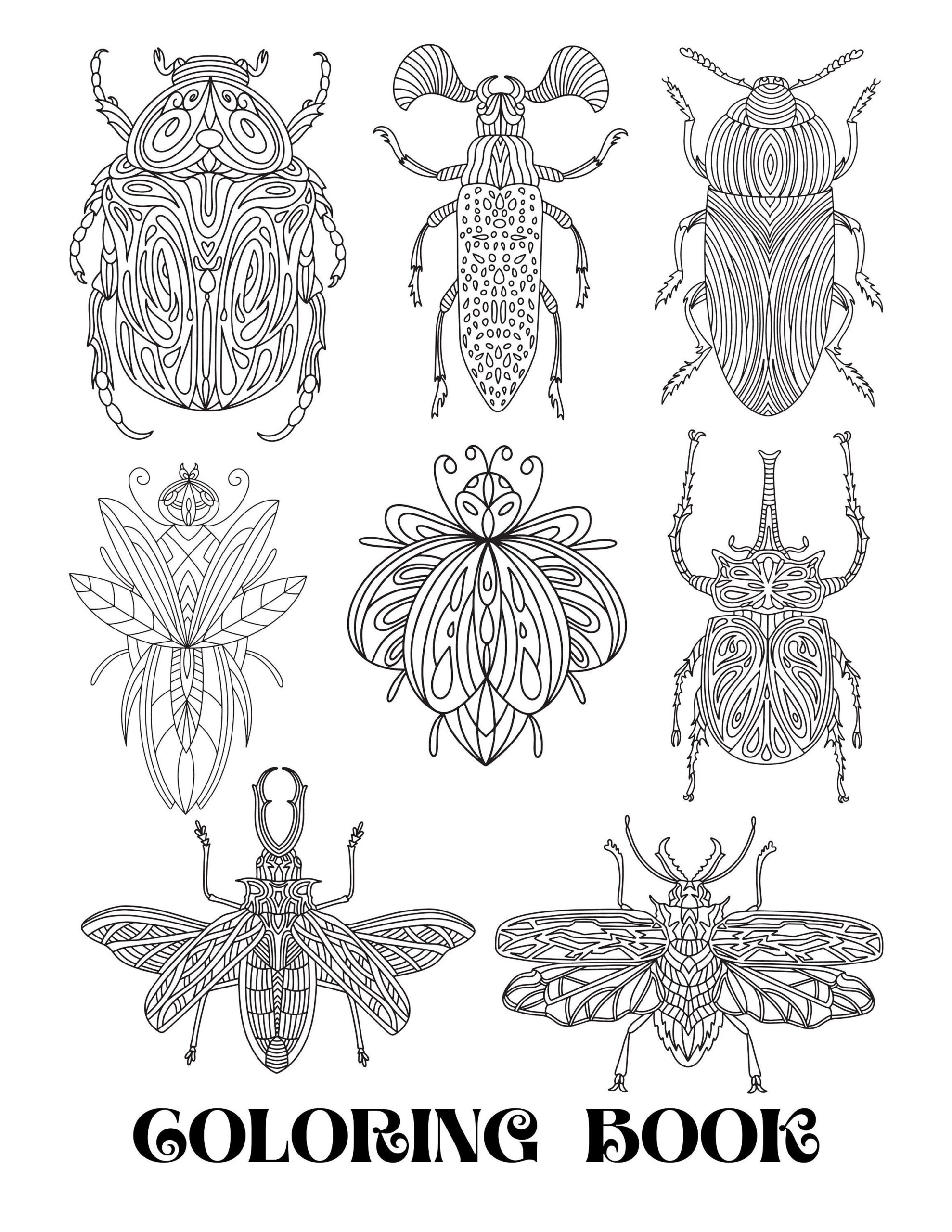 Insects Coloring Pages 23 Printable Bug Illustrations PDF Download Etsy