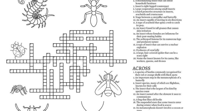 Insects Crossword Puzzle Beeloo Printable Crafts And Activities For Kids