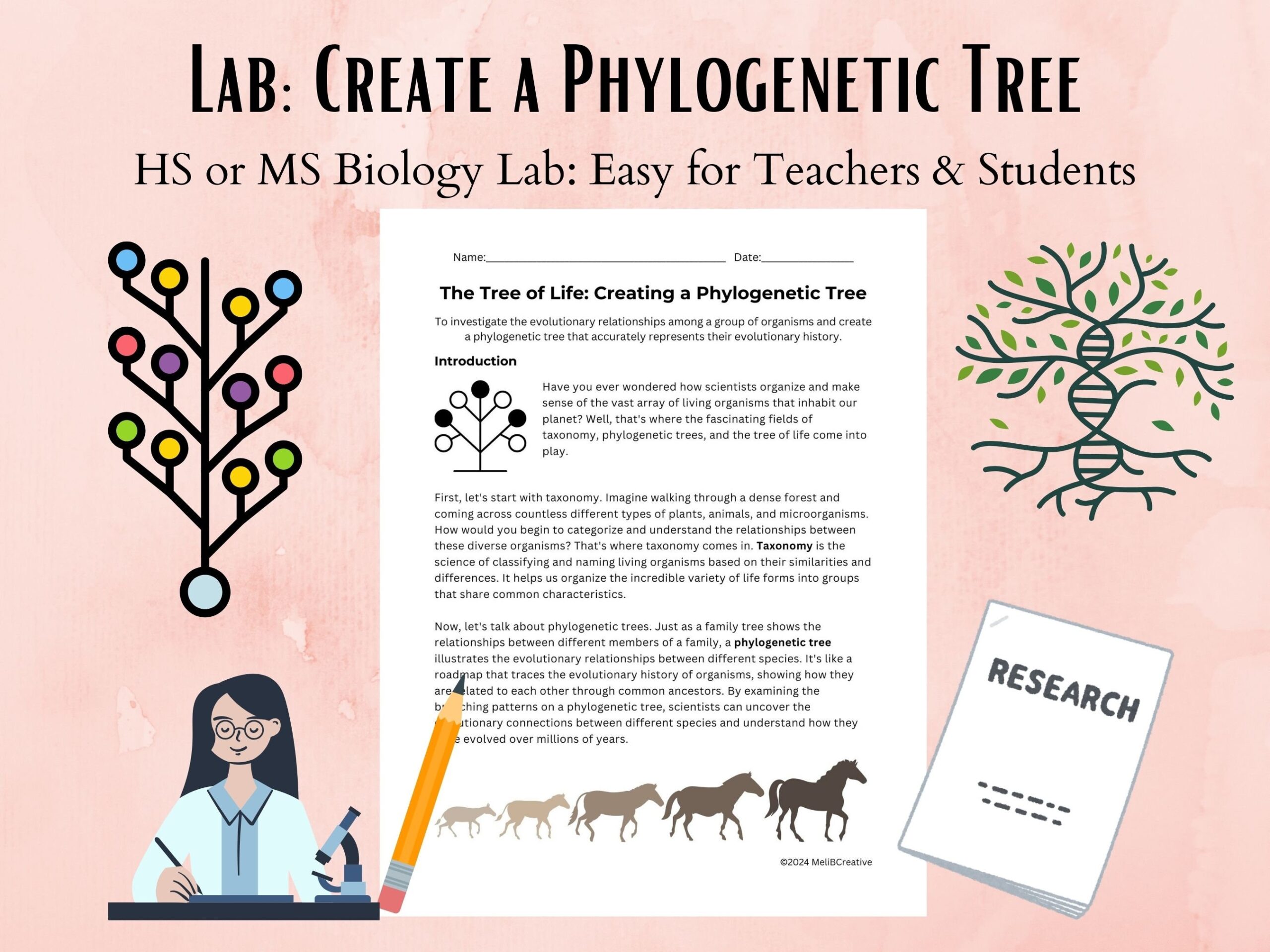 phylogenetic tree paper worksheet