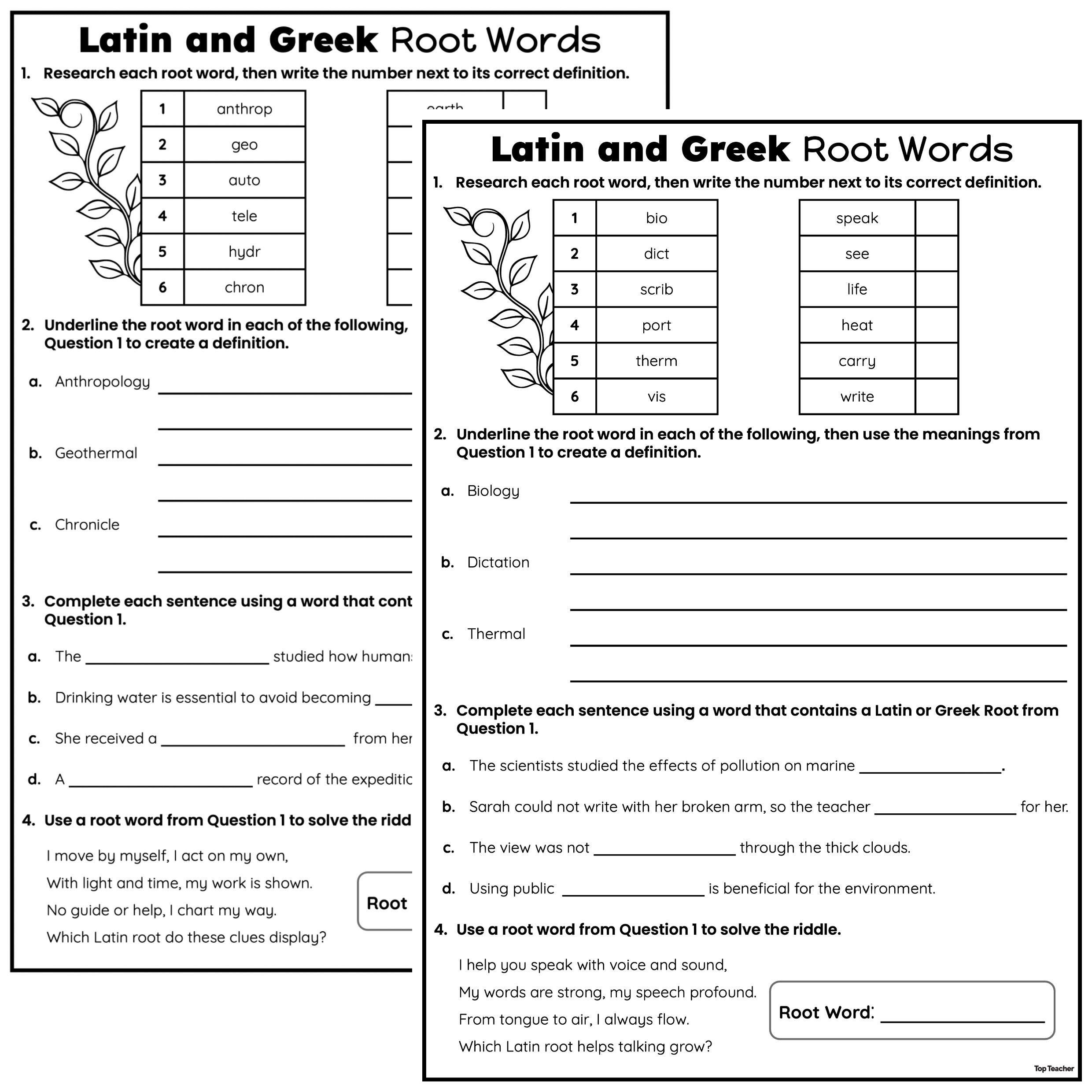 greek and latin roots worksheet greek and latin roots worksheet
