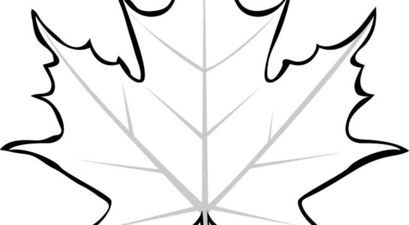Leaf Printable Coloring Pages HubPages