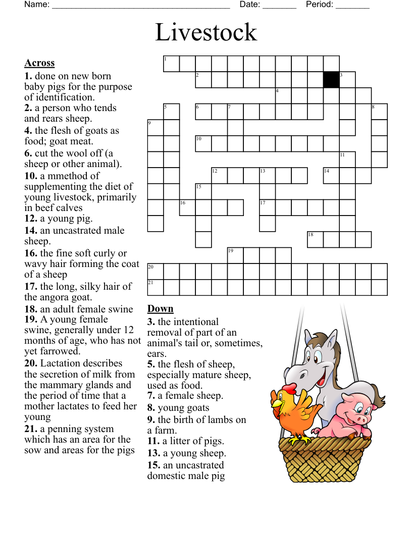 Livestock Crossword WordMint Livestock Crossword WordMint
