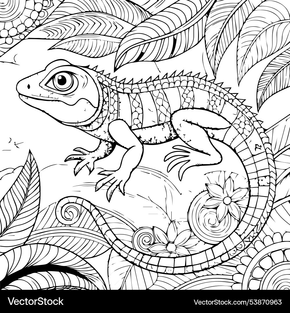 lizard coloring pages lizard coloring pages