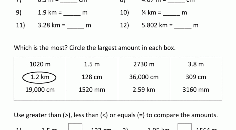 Metric Conversion Worksheet