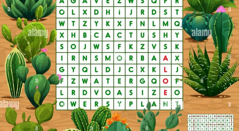 Mexican Prickly Cactus Succulents Word Search Puzzle Game Vector Kids Quiz Worksheet Agave Aloe Or Opuntia Thorn Flowers In Mexican Desert Entert Stock Vector Image Art Alamy