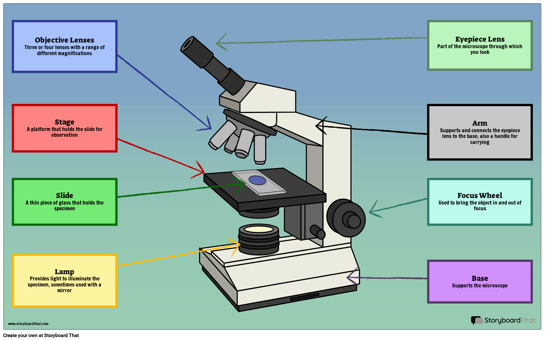 Microscope Parts Labeling Biology Activity For Students