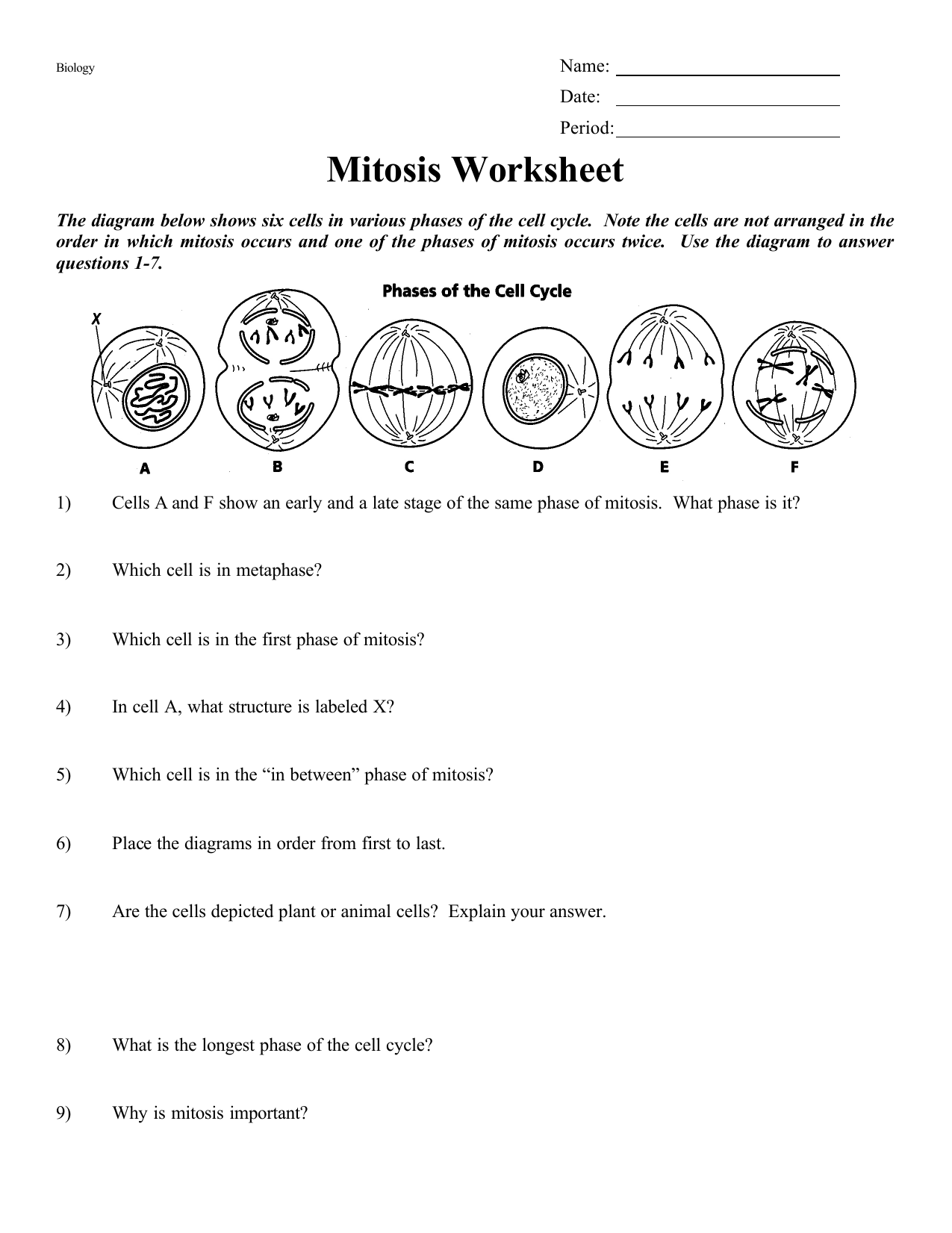 Mitosis Worksheet Cell Cycle Stages Mitosis Worksheet Cell Cycle Stages