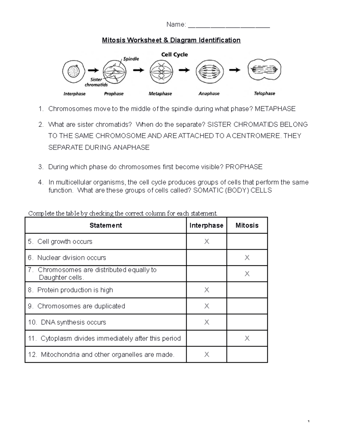 Mitosis Worksheet Identification Key 1CQ6OB9 Studocu