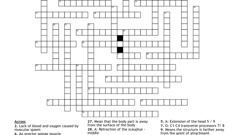 Muscle Cards 1 Crossword WordMint