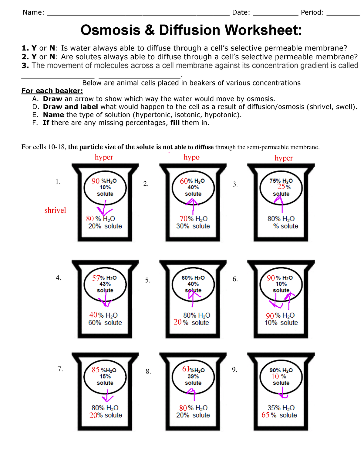 diffusion and osmosis worksheet diffusion and osmosis worksheet