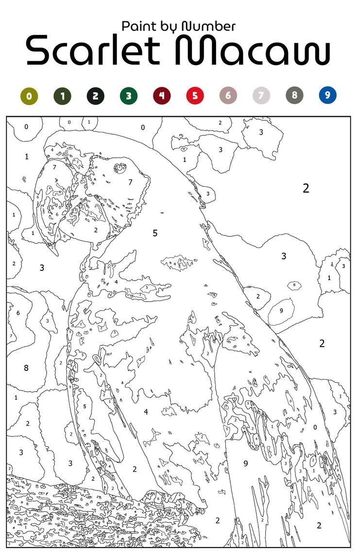 printable paint by numbers for adults