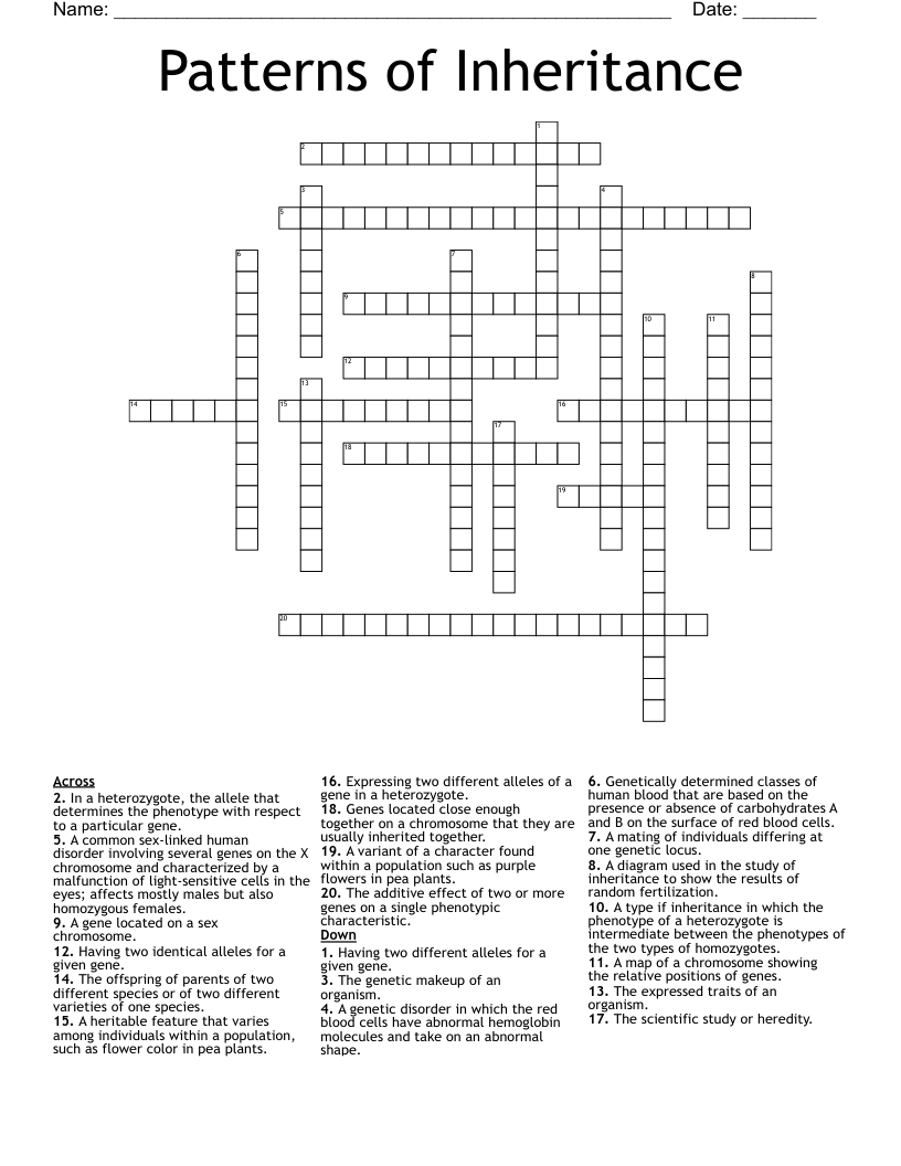 Patterns Of Inheritance Crossword WordMint Patterns Of Inheritance Crossword WordMint