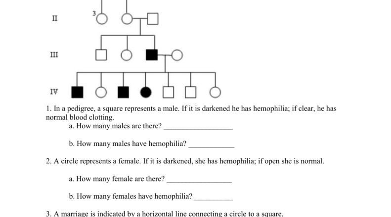 Pedigree Worksheet Interpreting Inheritance Patterns