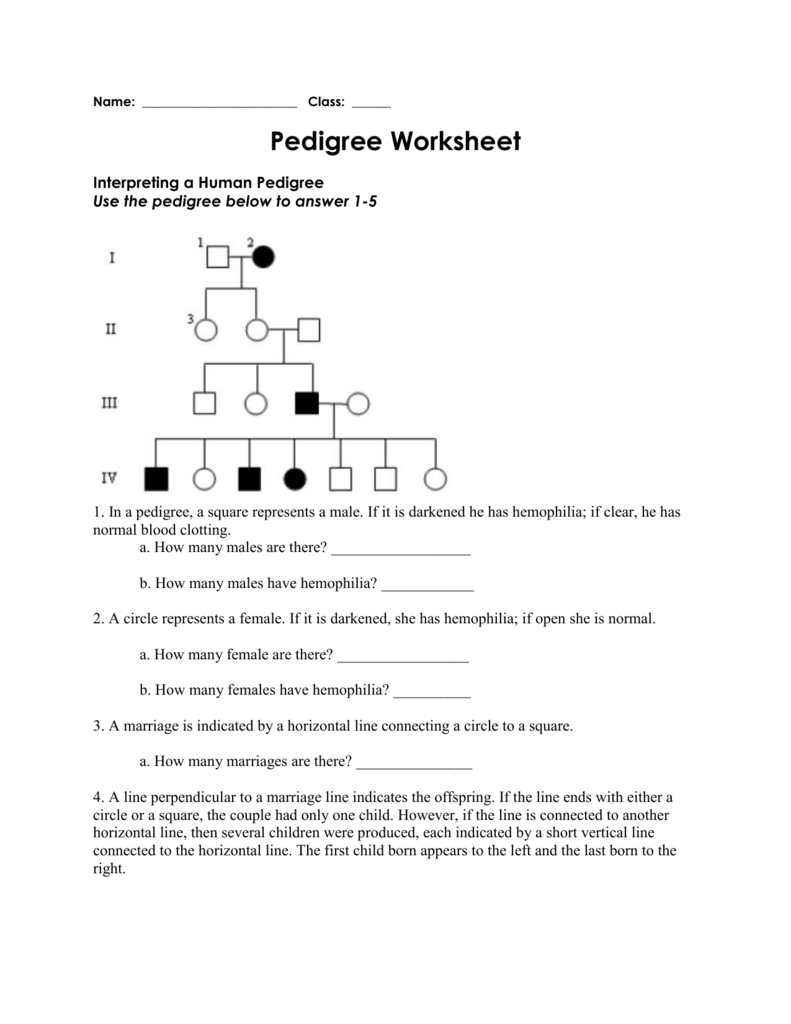 Pedigree Worksheet Interpreting Inheritance Patterns Pedigree Worksheet Interpreting Inheritance Patterns