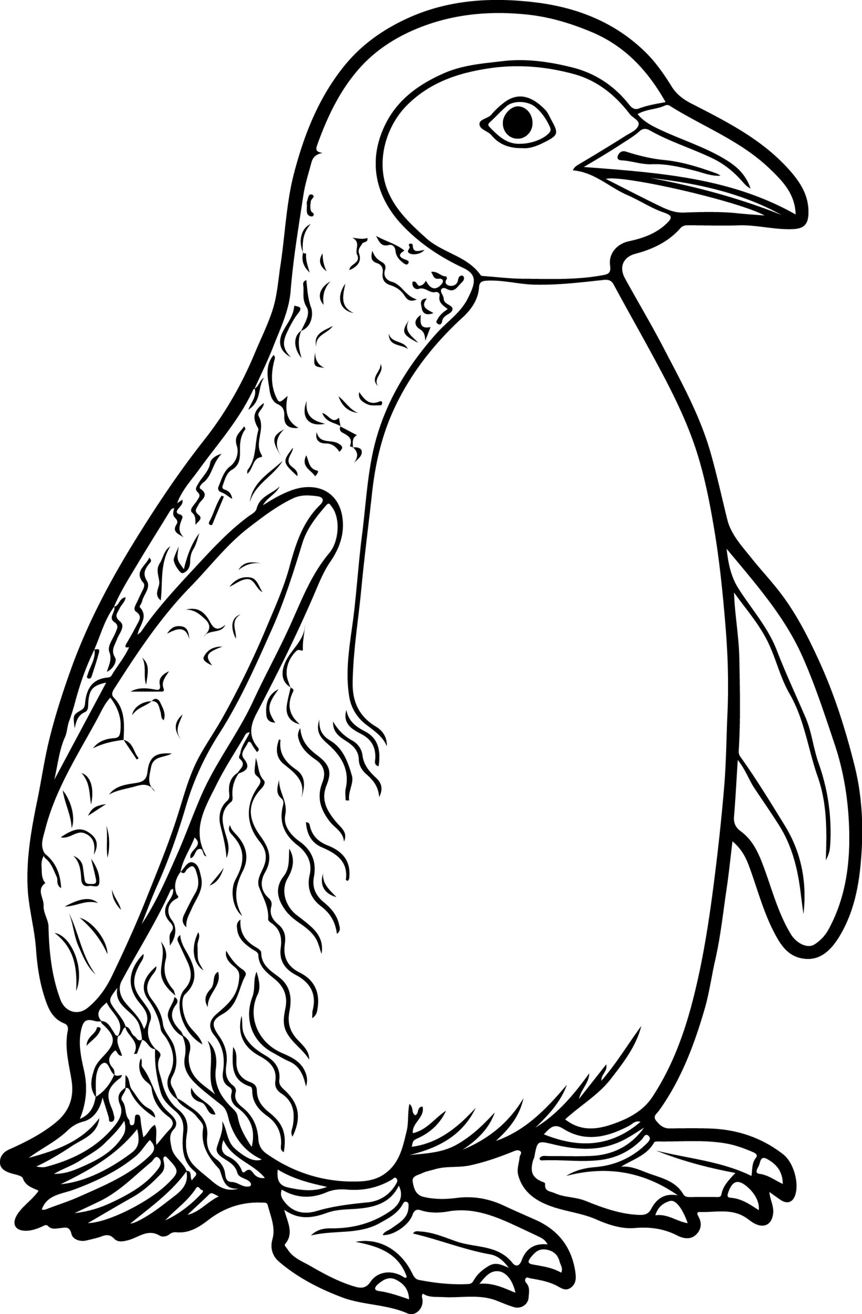 penguin coloring page