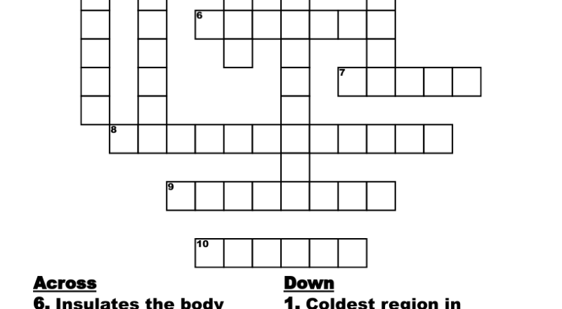 Penguins The Flightless Birds Crossword WordMint
