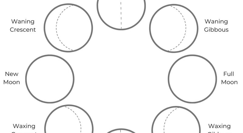 Phases Of The Moon Space Crafts For Kids With Moon Phases Worksheet