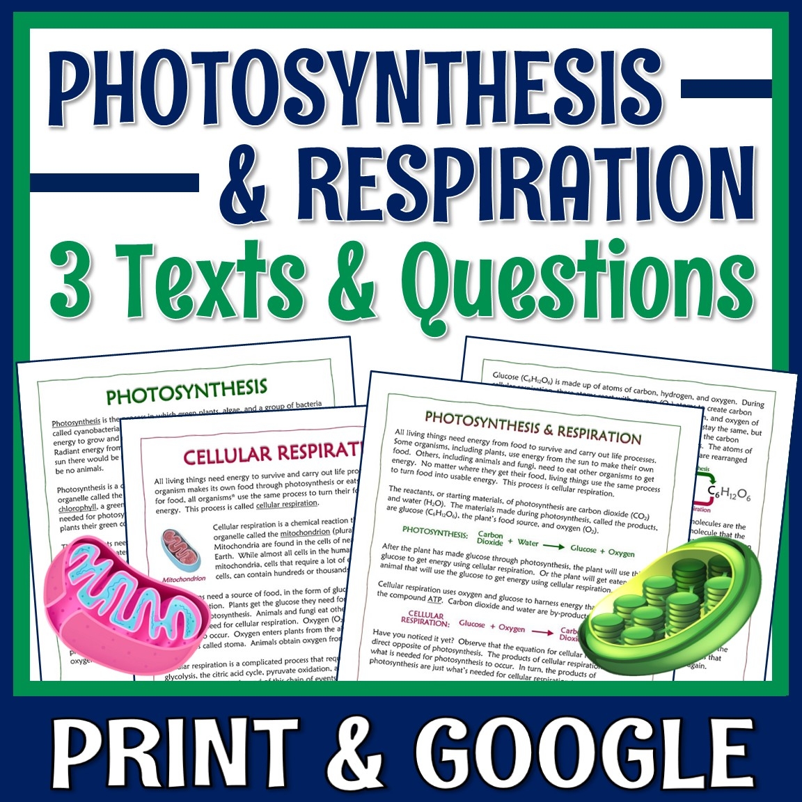 photosynthesis & cellular respiration worksheet photosynthesis & cellular respiration worksheet