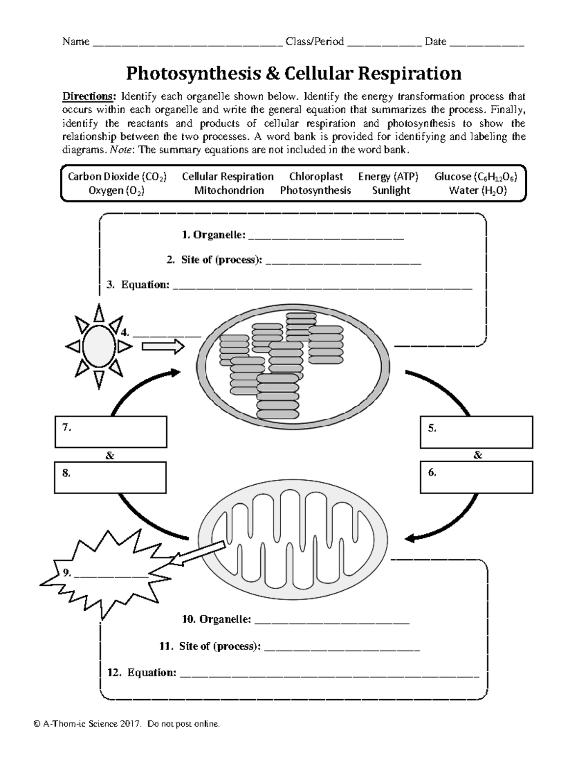 Photosynthesis Cellular Respiration Worksheet Biol 101 Studocu Photosynthesis Cellular Respiration Worksheet Biol 101 Studocu