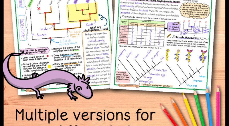 Phylogenetic Trees Lesson Bundle Emmatheteachie Resources