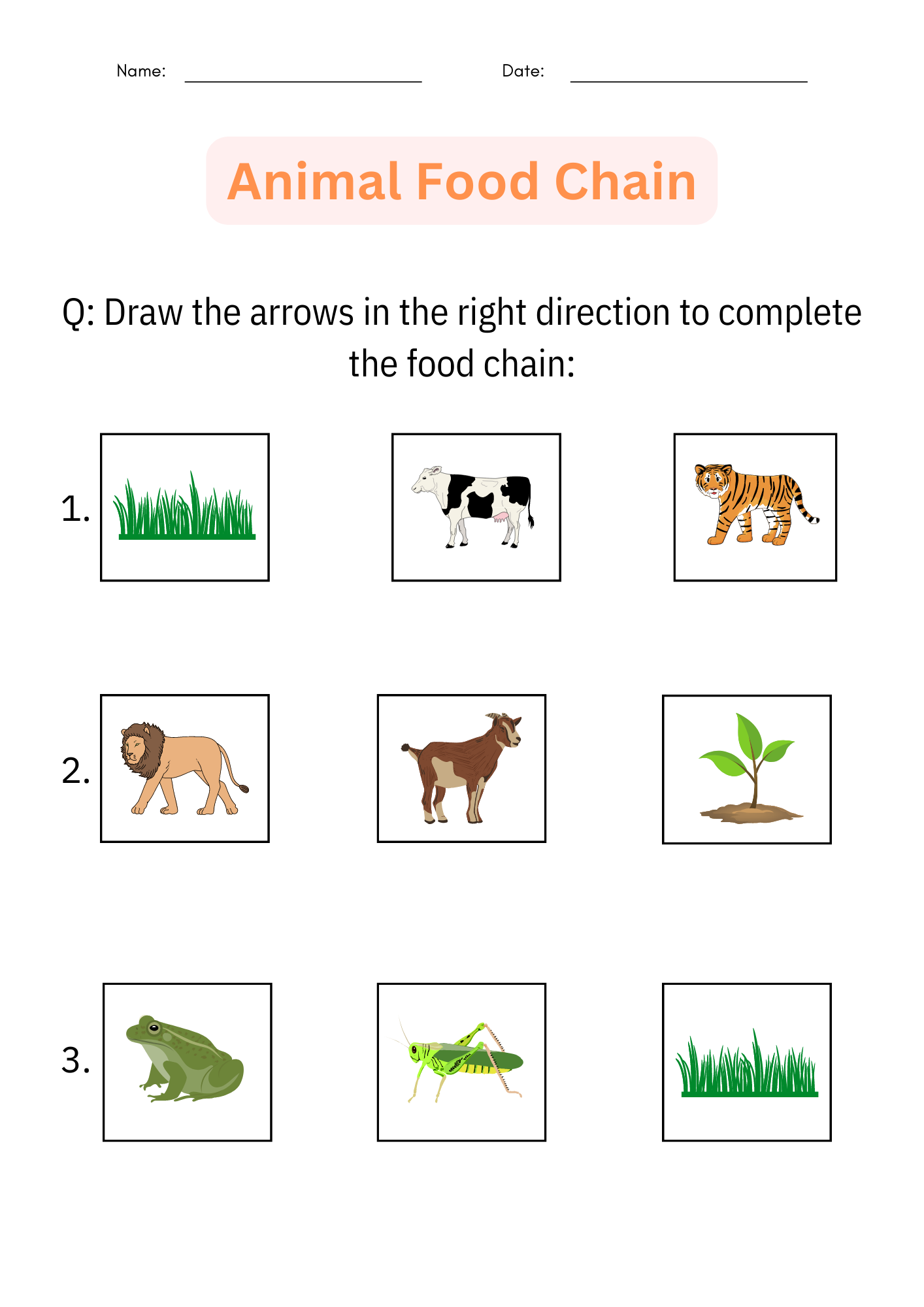 Printable Animal Food Chain Worksheet And Activity Cut And Paste For Grade 1 Made By Teachers Printable Animal Food Chain Worksheet And Activity Cut And Paste For Grade 1 Made By Teachers