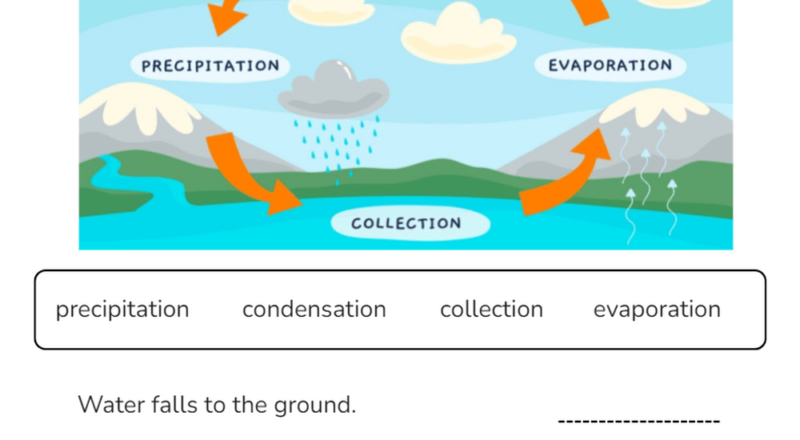 Printable Grade 5 Water Cycle Worksheets