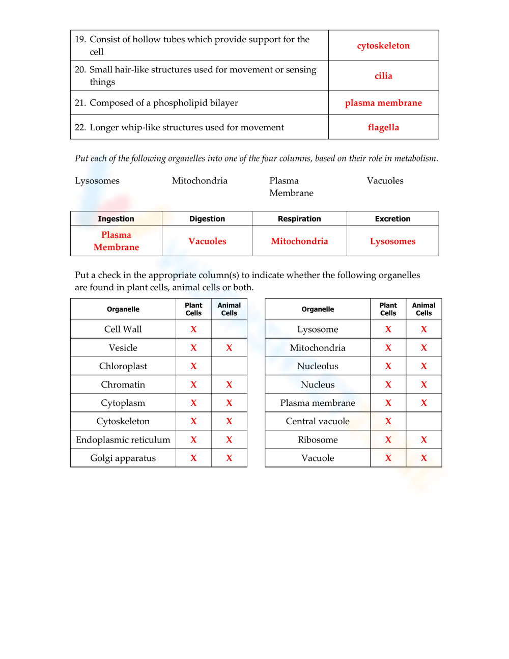 Printable Grade 7 Cell Organelles Worksheets Printable Grade 7 Cell Organelles Worksheets