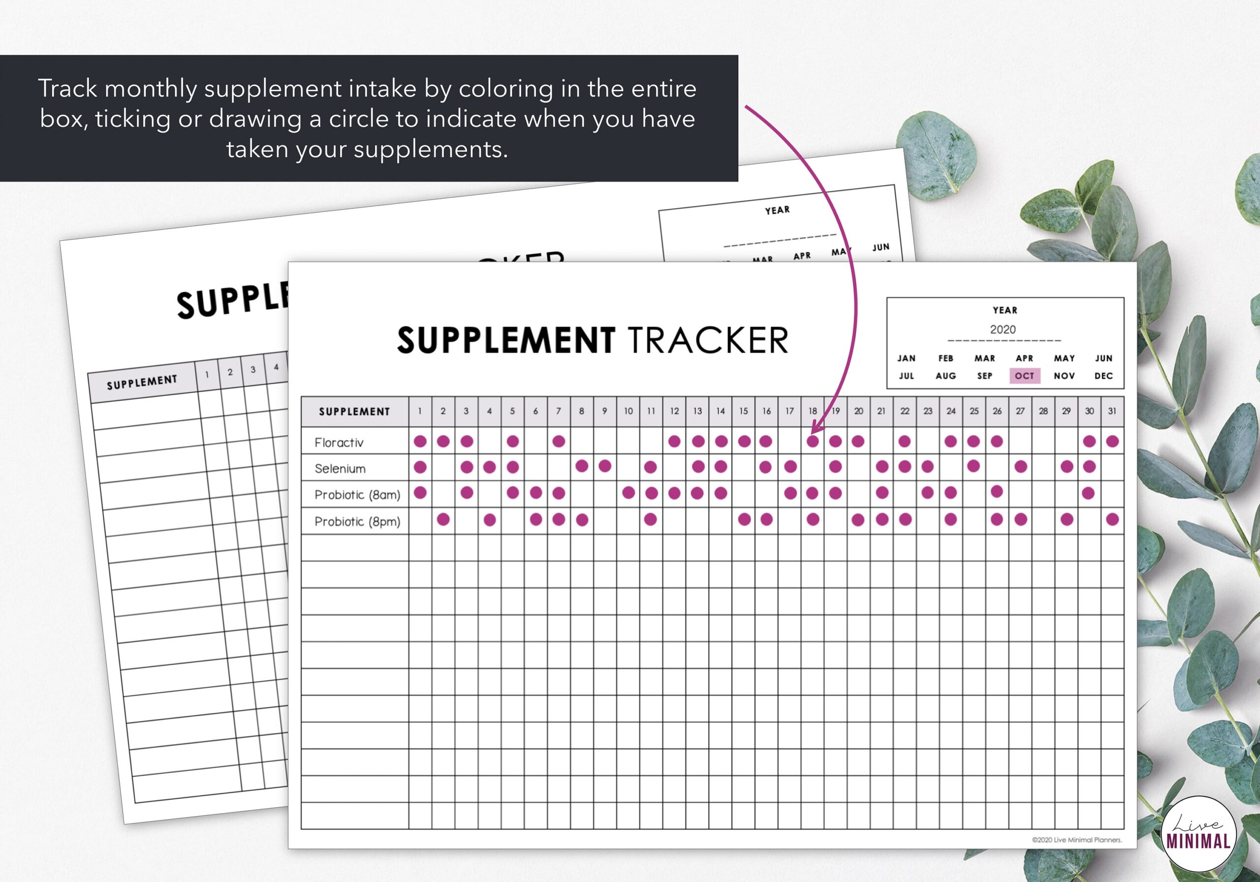 Printable Monthly Supplement Tracker Track Monthly Supplement Intake Minimalist Design Instant Download Etsy