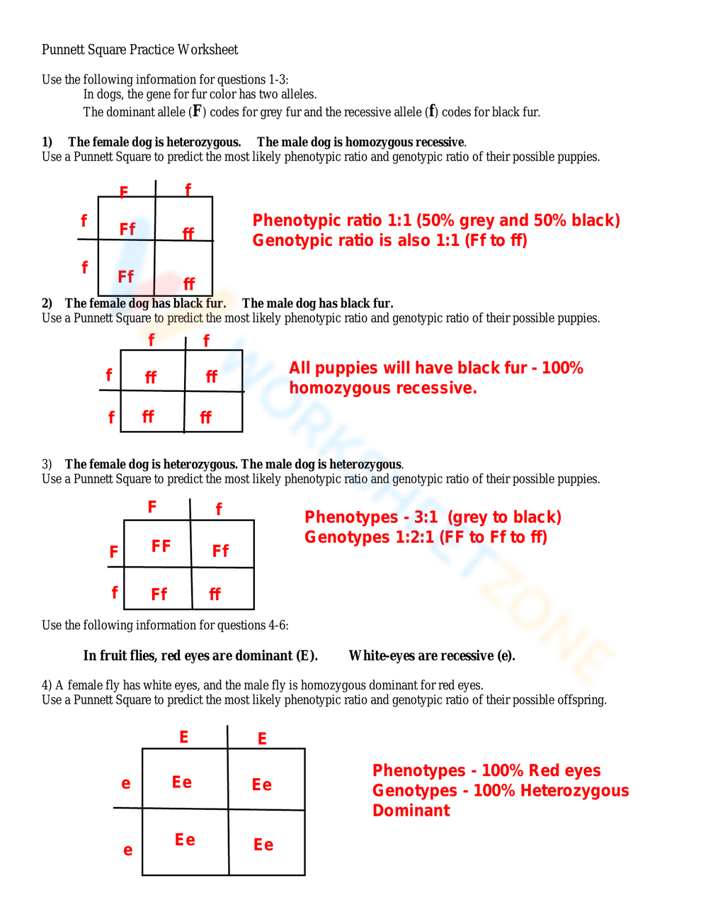 Printable Punnett Square Practice Worksheets Printable Punnett Square Practice Worksheets