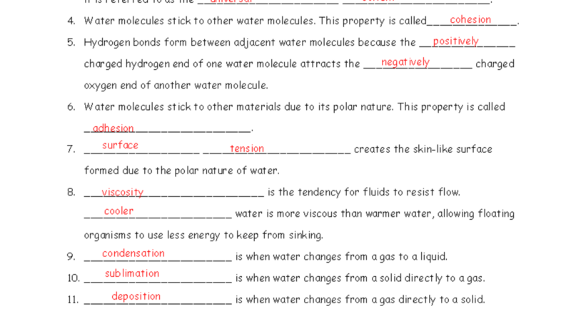 Properties Of Water Worksheet KEY Understanding Essentials Studocu