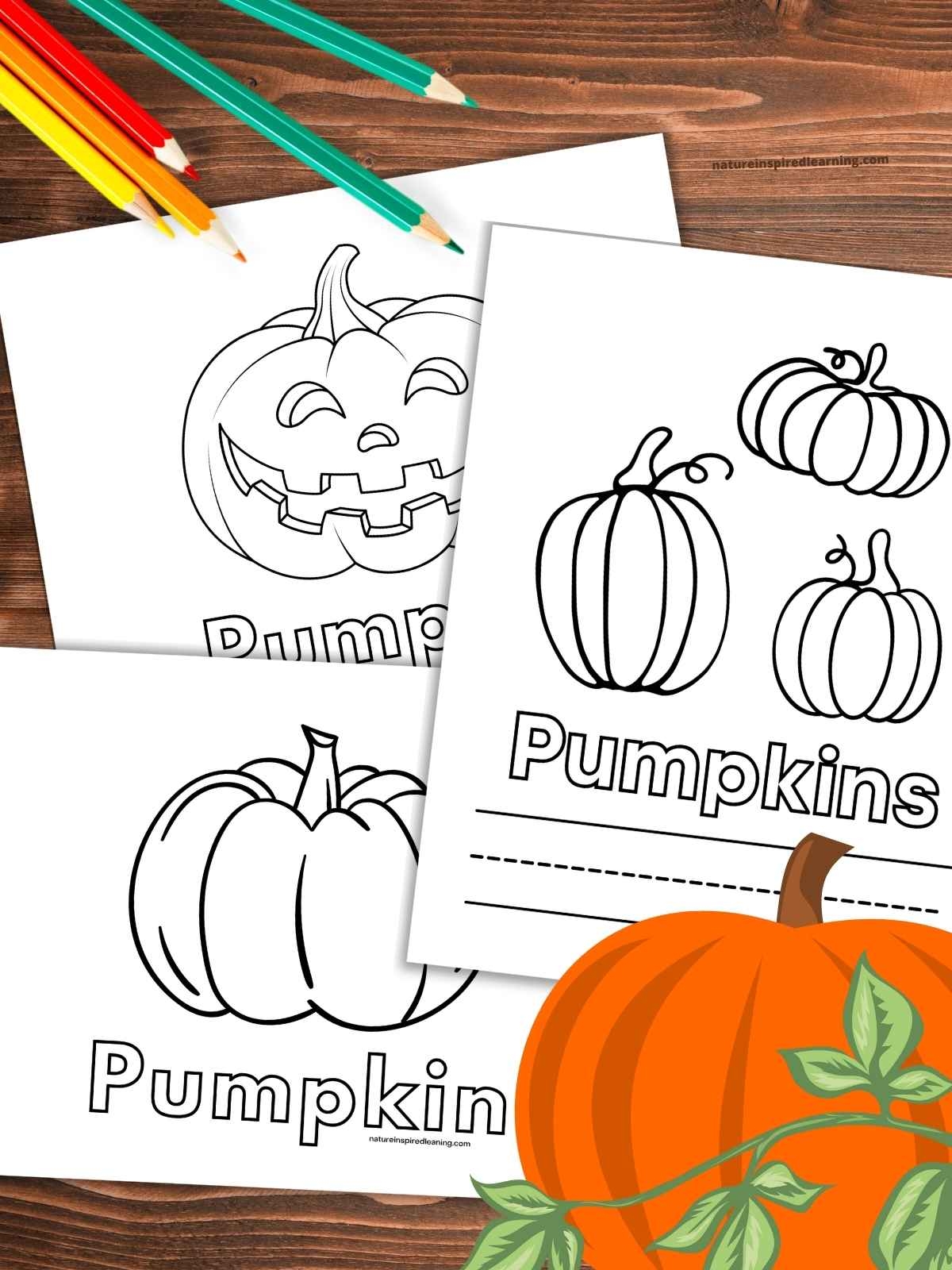 Pumpkin Coloring Pages Nature Inspired Learning Pumpkin Coloring Pages Nature Inspired Learning