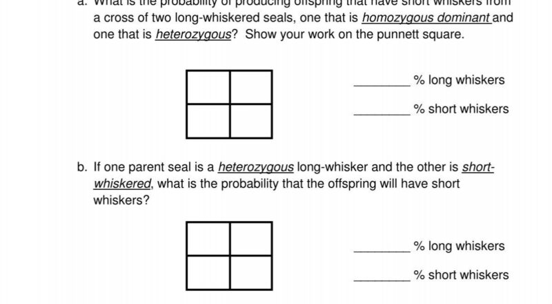 Punnett Square Practice