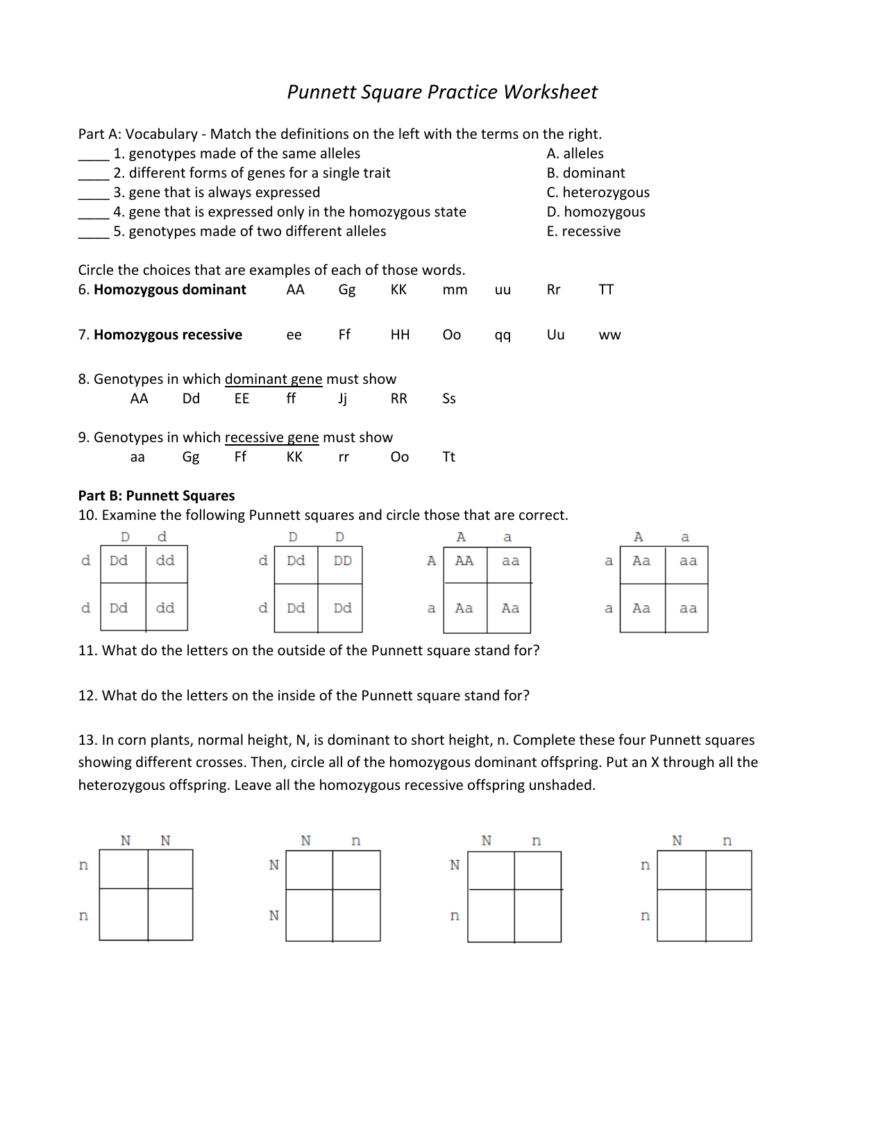 Punnett Square Practice Genetics Worksheet Punnett Square Practice Genetics Worksheet