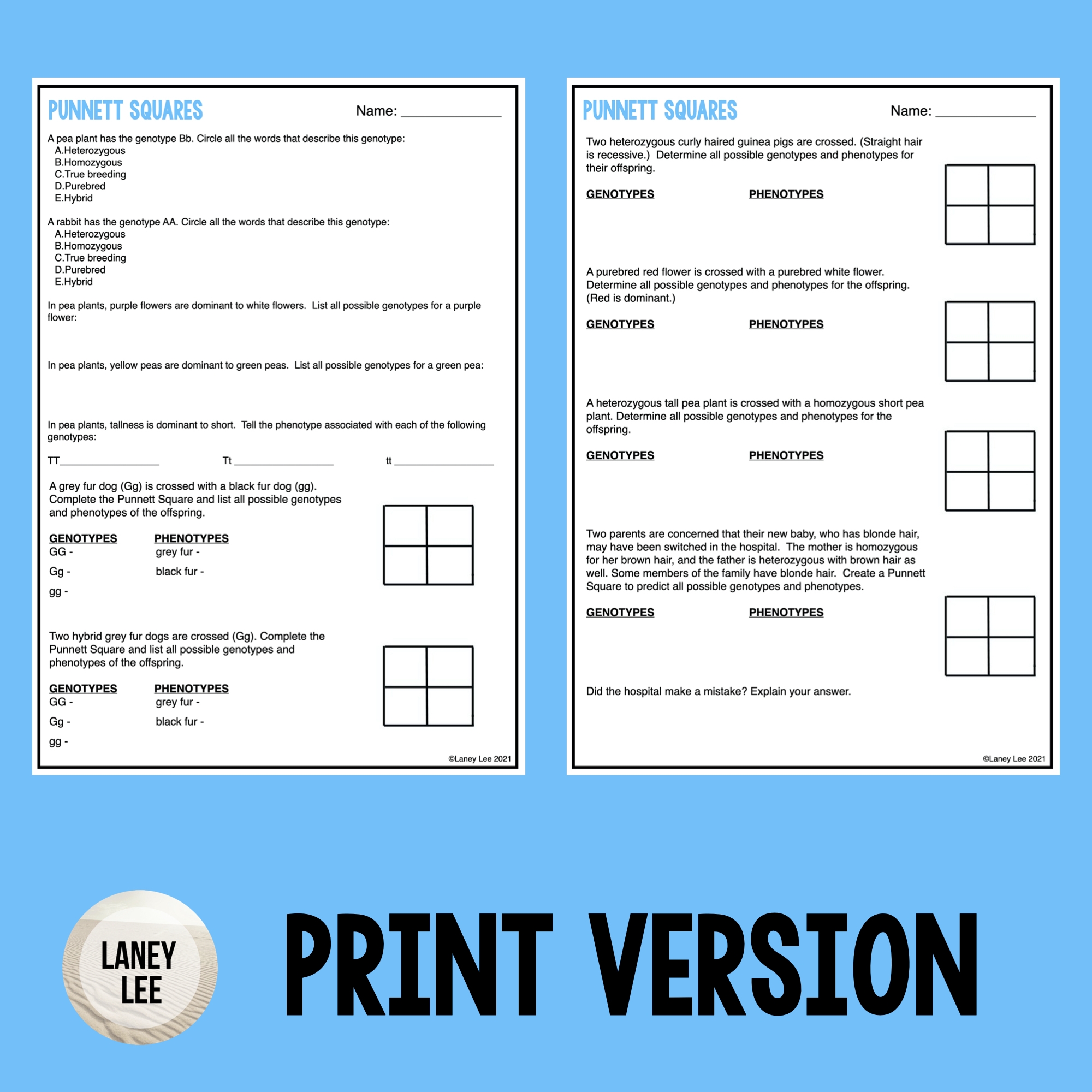 punnett square worksheet punnett square worksheet