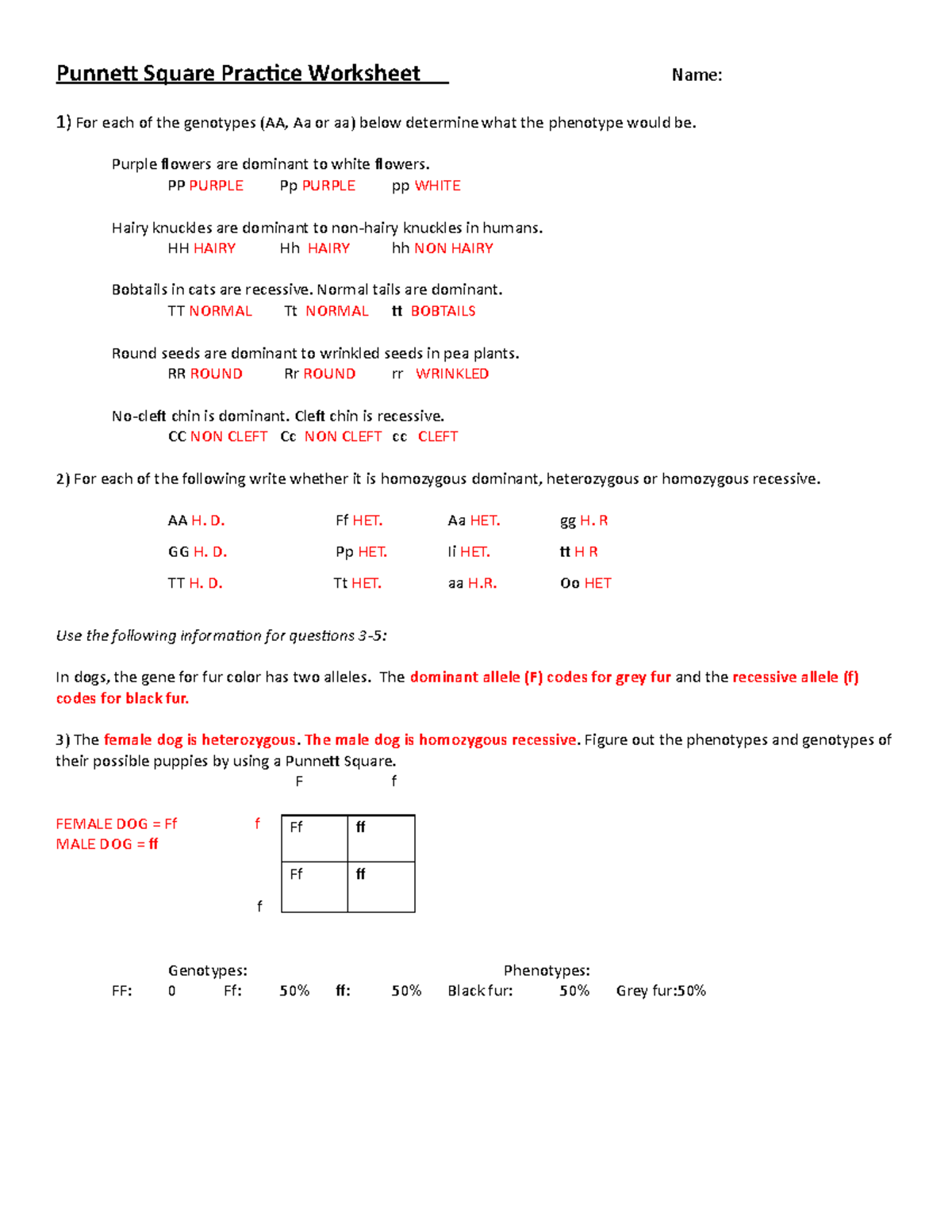 punnett square worksheet practice punnett square worksheet practice
