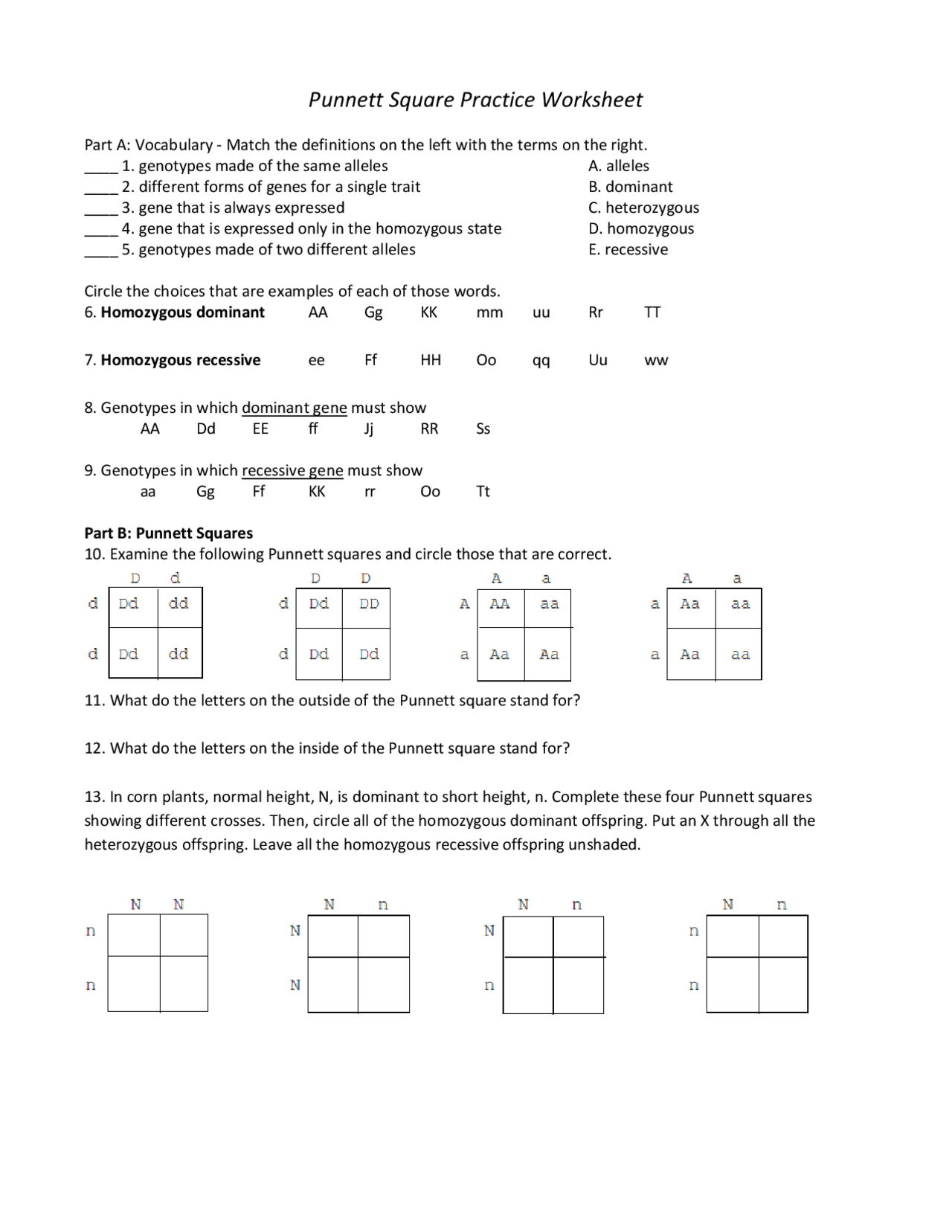 punnett squares worksheet with answers pdf