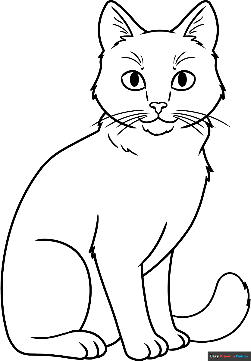 Realistic Cat Coloring Page Easy Drawing Guides